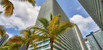 For Sale in The axis condo Unit 3011-S