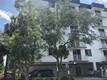 Brickell view Unit 306, condo for sale in Miami
