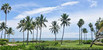 For Rent in Seaside village Unit 19213