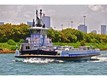 Seaside village Unit 19213, condo for sale in Fisher island