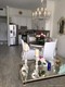 The decoplage Unit 1624, condo for sale in Miami beach