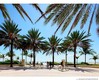 The decoplage condo Unit 707, condo for sale in Miami beach