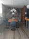 Mint condo Unit PH13, condo for sale in Miami