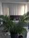 Centro condo Unit 3407, condo for sale in Miami