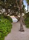 Arlen beach condo Unit 1008, condo for sale in Miami beach