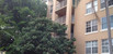 For Rent in The yacht club at aventur Unit 4301