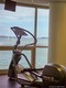 Isola condo Unit 409, condo for sale in Miami