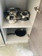 Centro condominium Unit 908, condo for sale in Miami