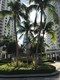Courts brickell key condo Unit 2306, condo for sale in Miami