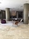 Harbour house condo Unit 1408, condo for sale in Bal harbour