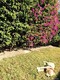 Tropical isle homes sub, condo for sale in Key biscayne