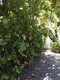 Tropical isle homes sub, condo for sale in Key biscayne