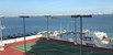 For Sale in Venetia condo Unit 11F
