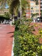 Jade winds group-daisy ga Unit 612-2, condo for sale in Miami