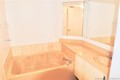 Venetia condo Unit A-1953, condo for sale in Miami