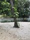 Wyndwood park, condo for sale in Miami