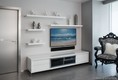 Epic west condo Unit 4205, condo for sale in Miami