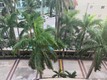 Cite condo Unit 608, condo for sale in Miami