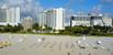 For Rent in The decoplage condo Unit 1611