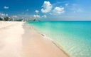 Shadowlawn, condo for sale in Miami