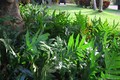 Biscayne key estates, condo for sale in Key biscayne