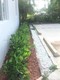 Donmoore villa amd pl, condo for sale in Miami
