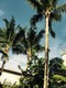 Tropical isle homes sub 1, condo for sale in Key biscayne