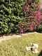 Tropical isle homes sub 1, condo for sale in Key biscayne