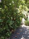 Tropical isle homes sub 1, condo for sale in Key biscayne