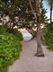 Arlen beach condo Unit 1008, condo for sale in Miami beach