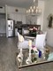 The decoplage condo Unit 1624, condo for sale in Miami beach