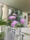 Palm island, condo for sale in Miami beach