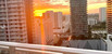 For Sale in The bondo (1080 brickell) Unit 1805