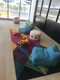 Brickell heights east con Unit 1005, condo for sale in Miami